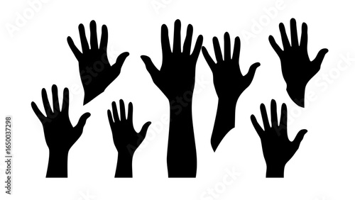 Diverse Collection of Vintage Cameras retro photography