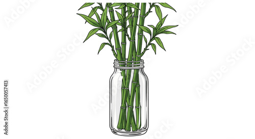 Lucky Bamboo Arrangement in Jar lucky bamboo 16
