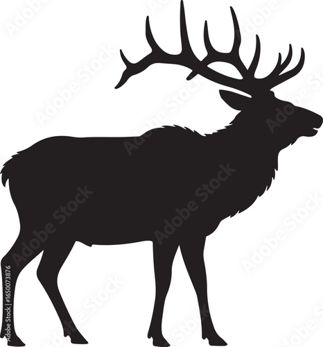 Silhouette of a majestic bull elk with large antlers standing on a white background male animal