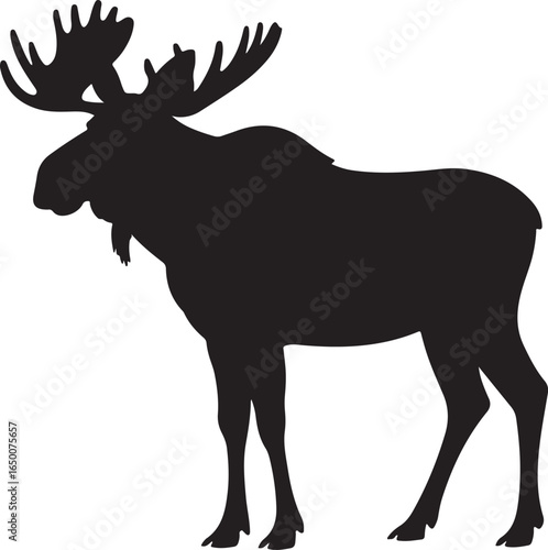 Black Silhouette of a Male Moose with Large Antlers Standing animal wildlife