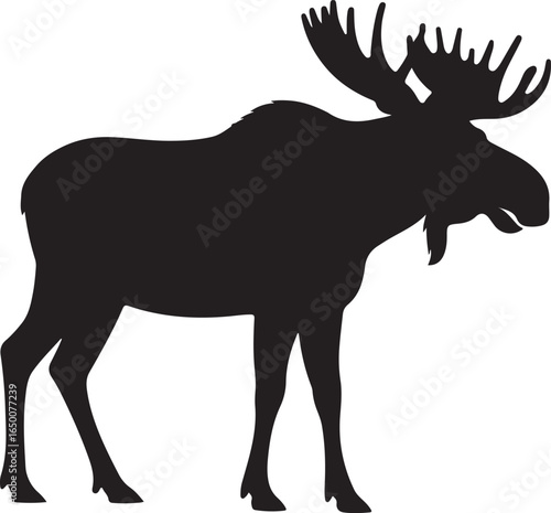 Black silhouette of a majestic bull moose with large antlers on a white background animal wildlife