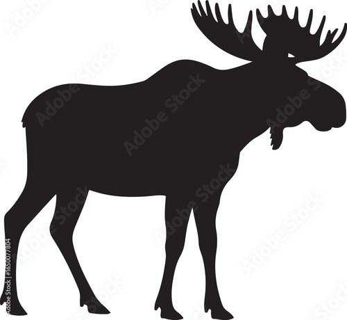 Black silhouette of a moose with large palmate antlers standing on a white background animal wildlife