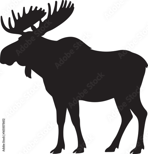 Silhouette of a majestic bull moose with large antlers on a white background deer animal