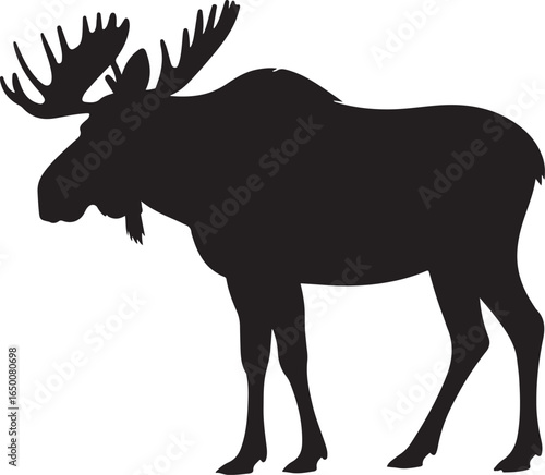 Silhouette of a male moose with large antlers standing on a white background animal wildlife