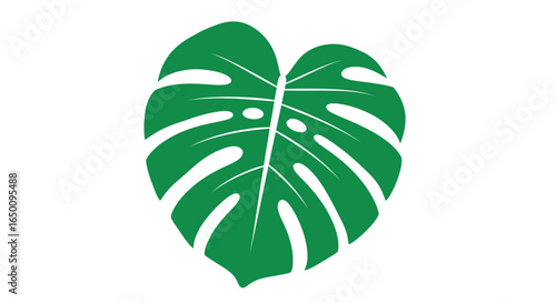 A vibrant green Monstera leaf illustration with distinct splits and holes, isolated on a clean white background.
