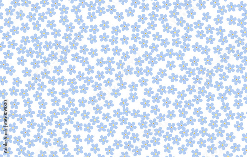 Forget me Not Pattern