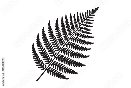Silhouette of a fern plant against white background. Vector retro hand drawn illustration