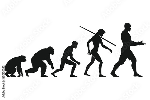 Human evolution stages from ape to modern man silhouette illustration