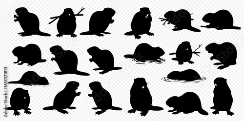 A collection of black beaver silhouettes in various poses, including standing, swimming, and holding branches, isolated on a transparent background.