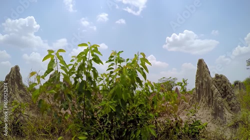 Green Plants Growing Amidst Light Brown Earth Formations Under a Sunny Sky