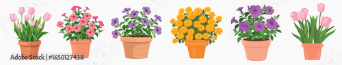 Colorful potted flowers illustration, isolated vector set