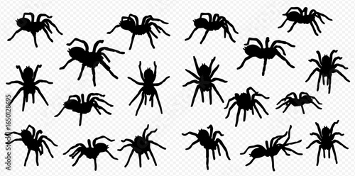 A collection of black spider silhouettes in various poses, isolated on a transparent background.