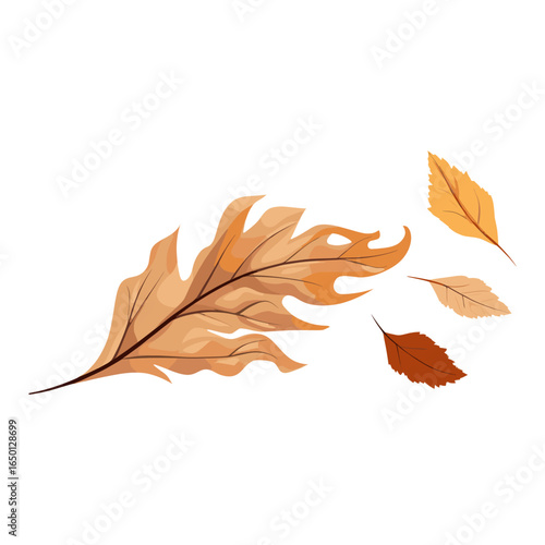 Autumn dried leaf leaves illustration falling vector