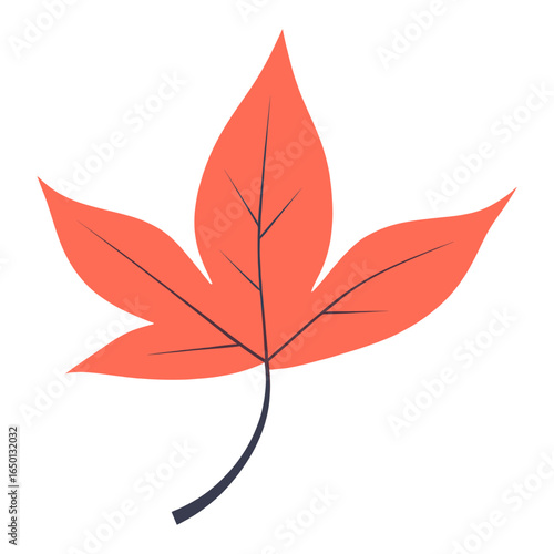 Red maple leaf illustration autumn simple vector