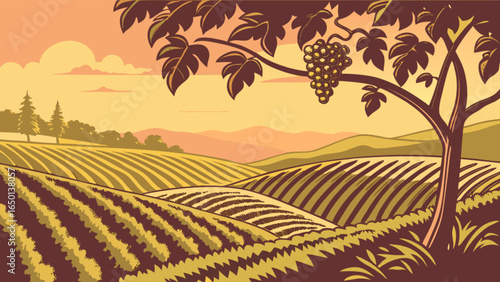 Illustration of a vineyard with grape vines, rolling hills, and a warm sunset in the background