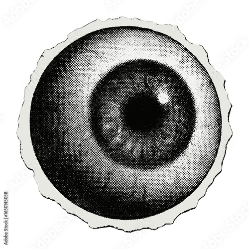 Vintage eye illustration art vector