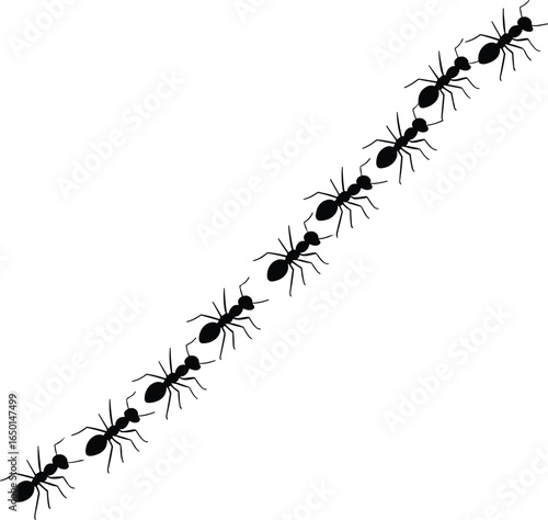 Ant trail silhouette vector illustration, black ants marching in line, insect colony movement, ant path graphic art, wildlife insect clipart, ant group design, pest silhouette artwork