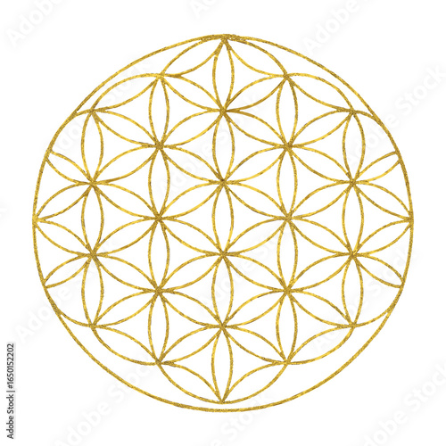 Geometric golden flower pattern illustration vector