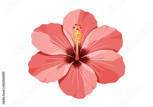 A vibrant pink hibiscus flower with a detailed yellow stamen, isolated on a clean white background.