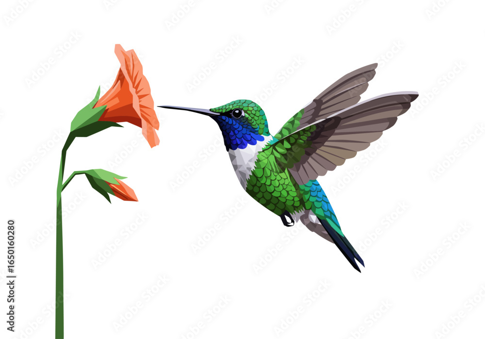 Obraz premium A vibrant hummingbird hovers near a bright orange flower, its wings outstretched in mid-flight.
