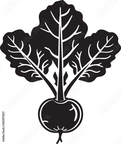 Kohlrabi icon clean simple