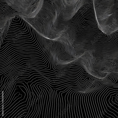 Wallpaper Mural Abstract, flowing lines in grayscale, resembling terrain Torontodigital.ca