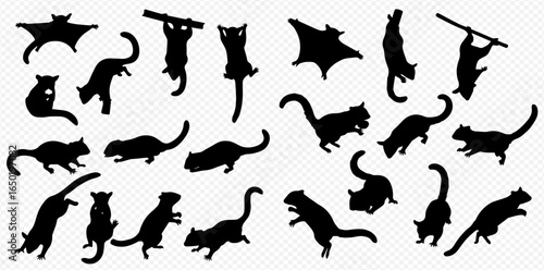 A collection of black silhouettes of flying squirrels in various dynamic poses such as gliding, climbing, hanging, and standing.