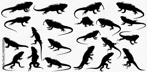 A collection of black iguana silhouettes in various dynamic poses, isolated on a transparent background.