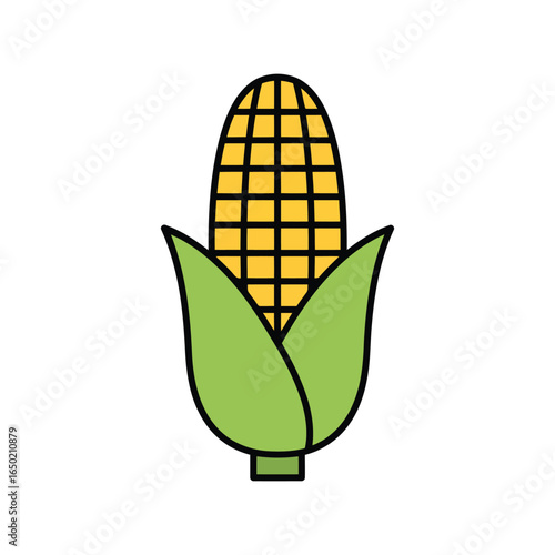 Fresh corn cob vector illustration sweet maize vegetable healthy food ingredient farm produce icon