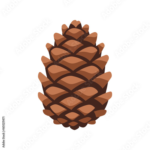 Brown pine cone illustration natural forest seed pod autumn nature element isolated graphic