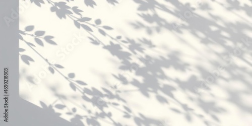 High-res image of a white wall with soft, dappled leaf shadows cast by sunlight Minimalist aesthetic,  home decor,   foliage
