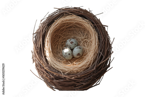 A meticulously crafted natural bird's nest, housing three delicate speckled eggs, symbolizing new beginnings and life's gentle cycle.