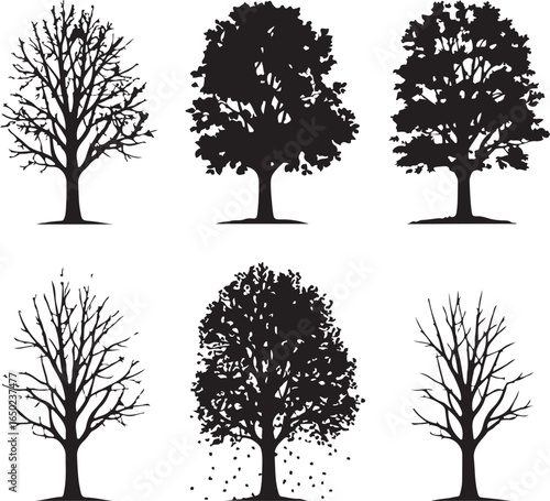 Bare and leafy trees falling leaves bare tree silhouette