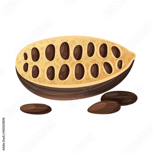 Cacao Pod's Intimate Revelation: An illustrated close-up of a sliced cacao pod reveals a bounty of cacao beans, portraying the origin of chocolate and its intricate layers.