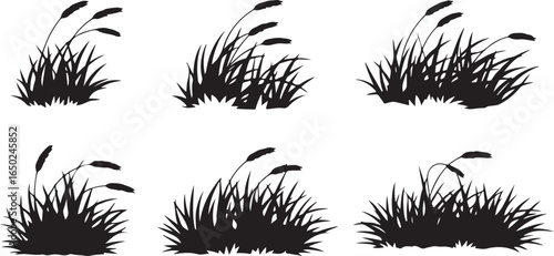 Black grass stalks and blades reeds vegetation