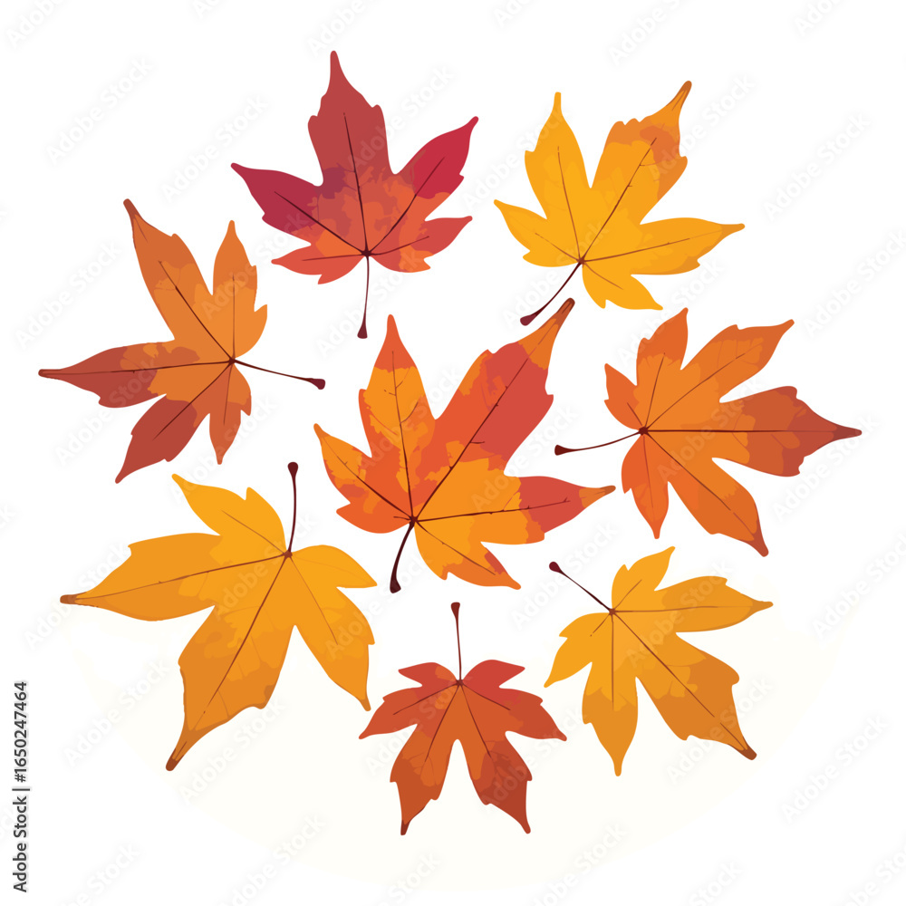 Autumn maple leaves in warm orange, yellow, and red tones are scattered on a clean white backdrop, perfect for seasonal decorations and fall themes.