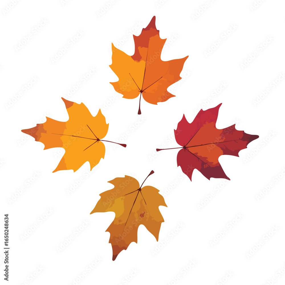 Fototapeta premium Four autumn leaves in various shades of red, orange, and yellow are arranged in a geometric pattern against a white background Perfect for seasonal designs and decorations.