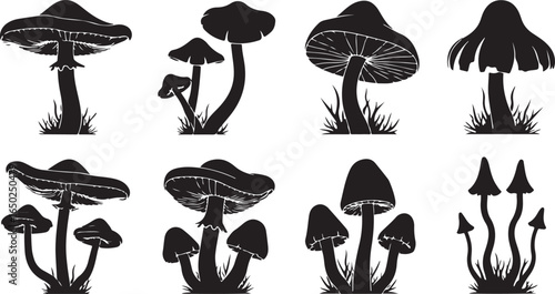 Black mushroom silhouettes with grass fungi nature