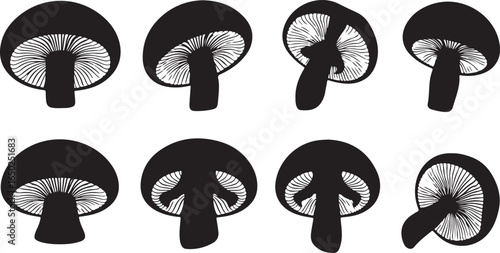 Black mushrooms with white gills fungi