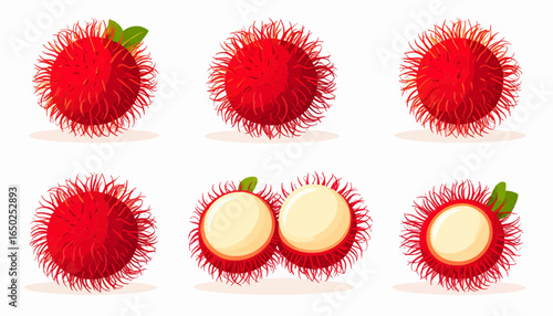 Vibrant Rambutans A Flat Vector Display of Whole and Peeled Tropical Fruit in a Clean Style