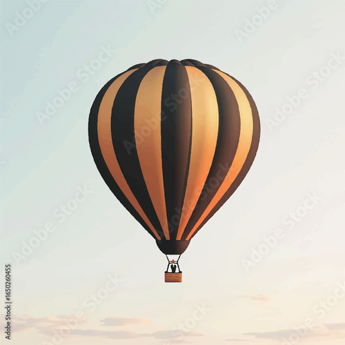 a hot air balloon