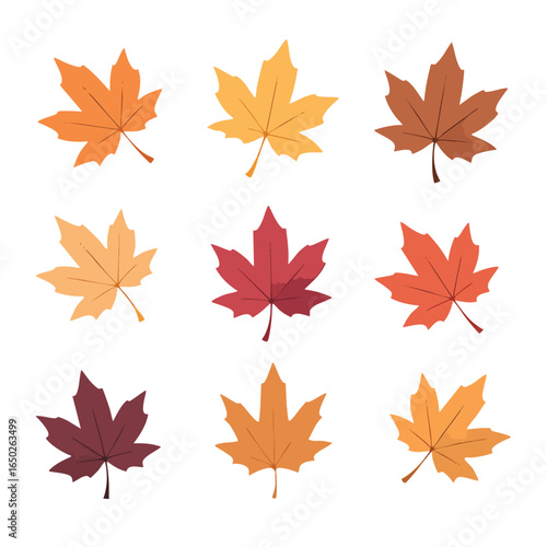 Collection of colorful maple leaves arranged on a white background ideal for creating autumn themed designs and backgrounds.
