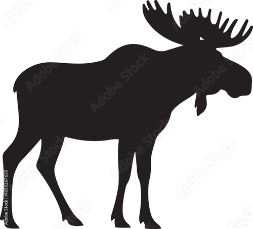 Silhouette of a large bull moose with wide antlers on a white background Keywords: moose, elk, animal