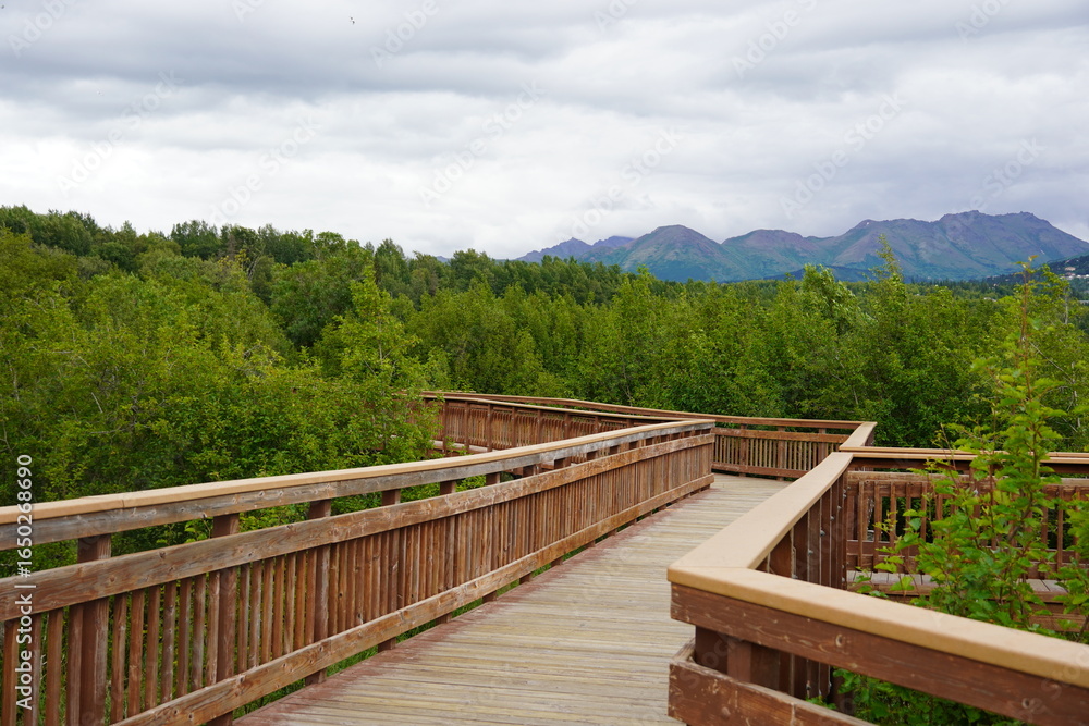 Fototapeta premium wooden bridge in the forest