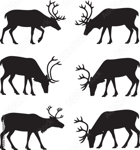 Six black silhouettes of reindeer in various poses on a white background caribou animal