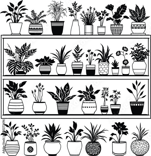 Black and white vector illustration of potted plants on shelves indoor houseplant collection graphic design