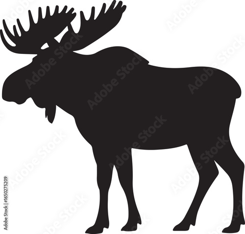 Black Silhouette of a Male Moose with Wide Antlers Standing animal wildlife