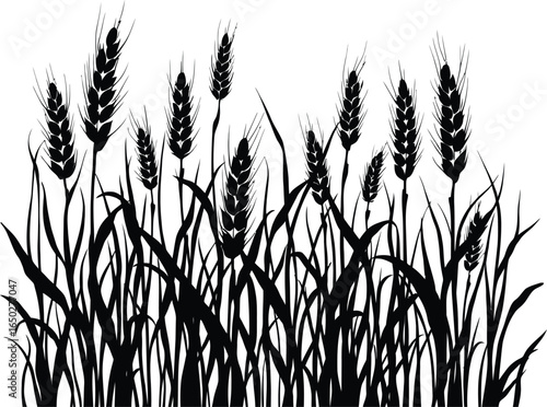 Wheat field silhouette vector illustration agriculture farm harvest grain crop landscape black and white design