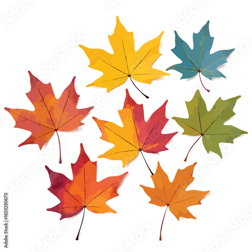 Assorted maple leaves in autumn colors are isolated on a white background, creating a simple graphic ideal for seasonal projects and designs.