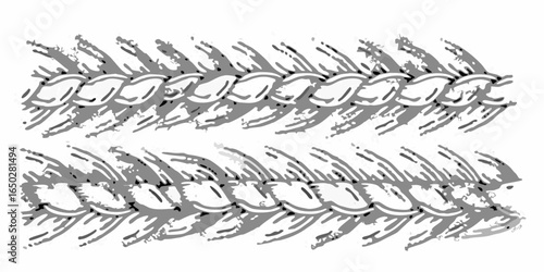 Vector two parallel rows of stylized wheat or barley stalks with detailed shading and textured appearance overall